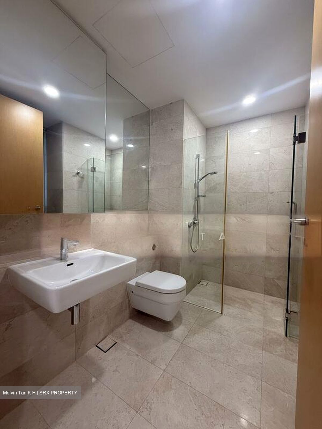 Trilight (D11), Condominium #501939541